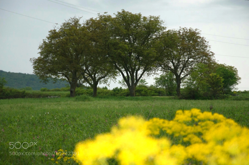 Nikon D3200 sample photo. Untitled photography