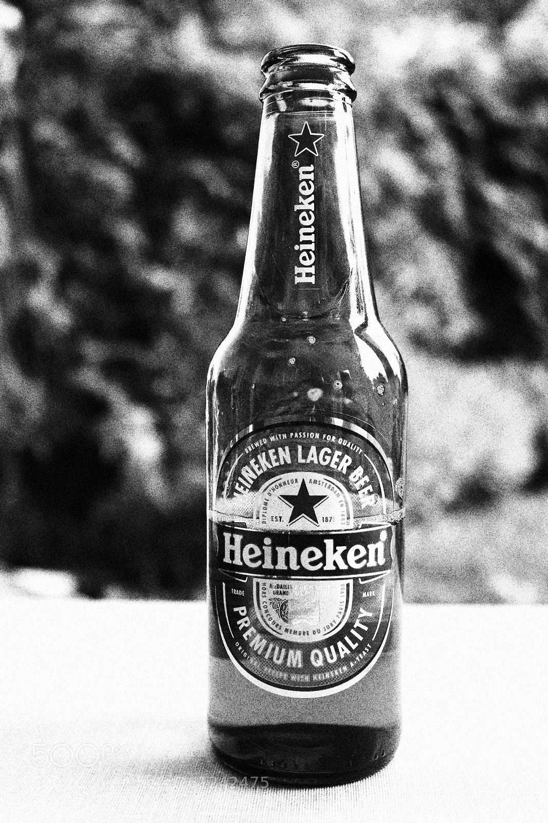 Canon EOS 200D (EOS Rebel SL2 / EOS Kiss X9) sample photo. Heineken experience photography