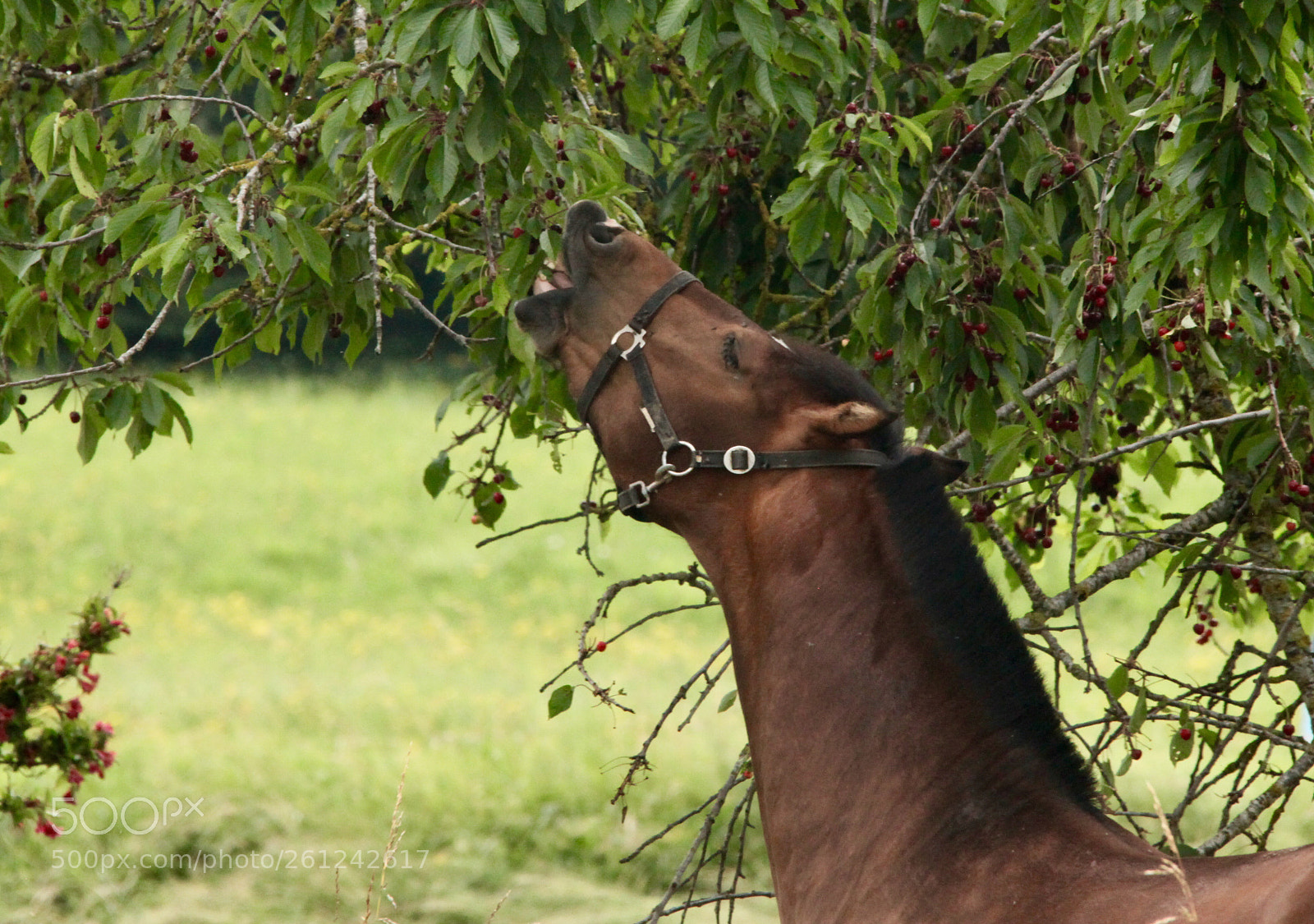 Canon EOS 5D Mark II sample photo. Untitled photography