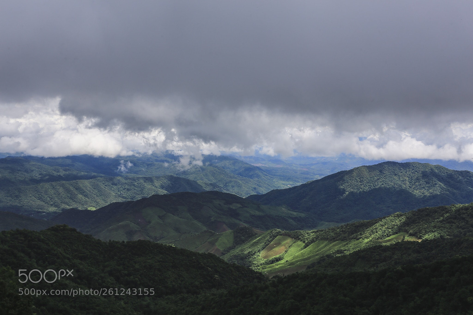 Canon EOS 6D sample photo. Untitled photography
