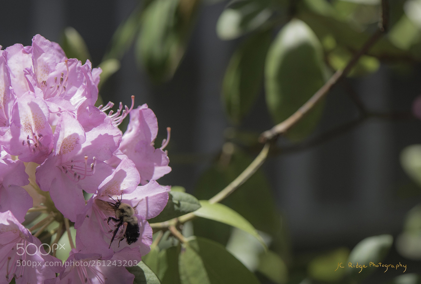 Nikon D810 sample photo. Time does not wait photography