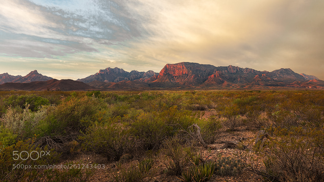 Canon EOS 5D Mark IV sample photo. Sunrise pullman bluff photography