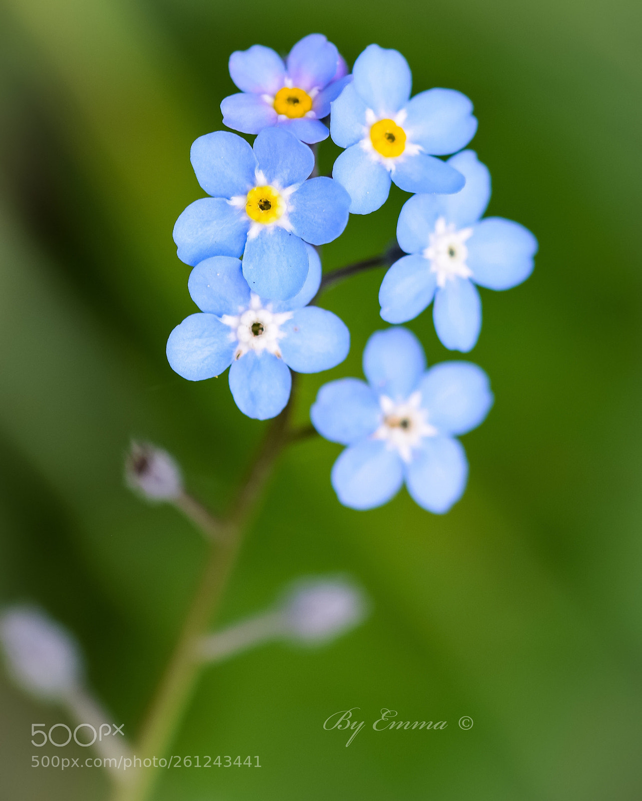Nikon D3300 sample photo. Untitled photography
