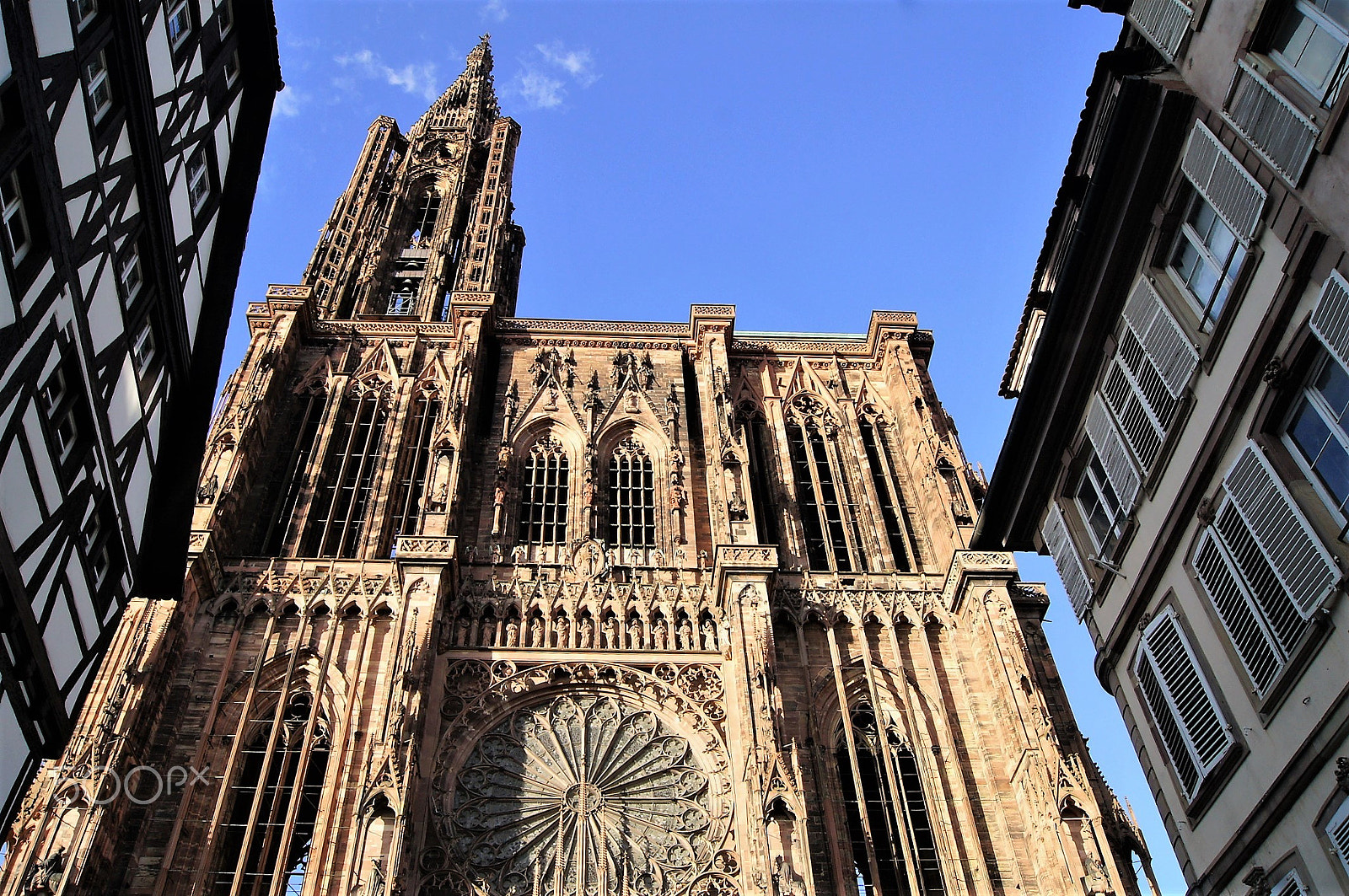 Sony Alpha DSLR-A550 sample photo. Strasbourg photography