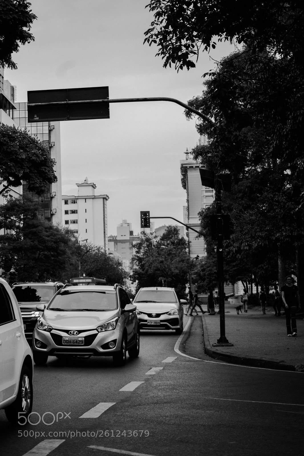 Sony Alpha DSLR-A850 sample photo. Sony dsc photography