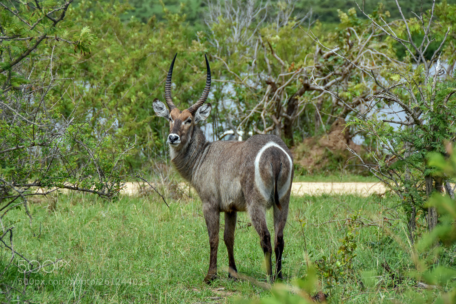 Nikon D7200 sample photo. Dsc photography