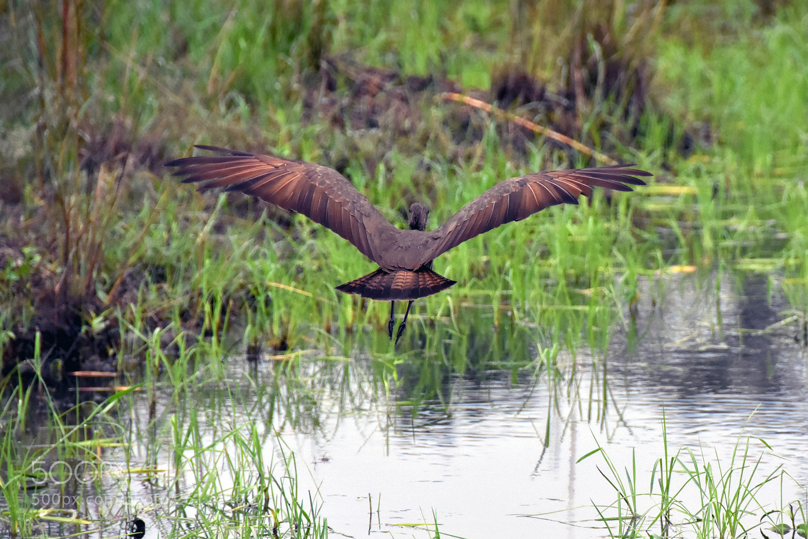 Nikon D7200 sample photo. Dsc photography