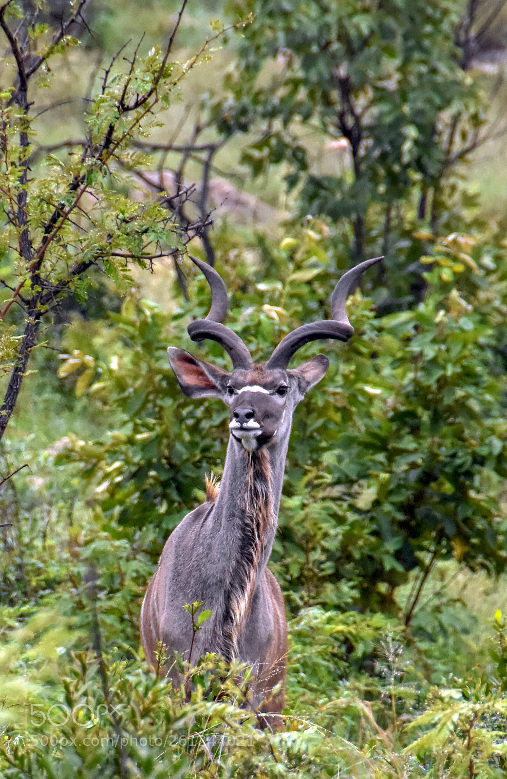 Nikon D7200 sample photo. Dsc photography