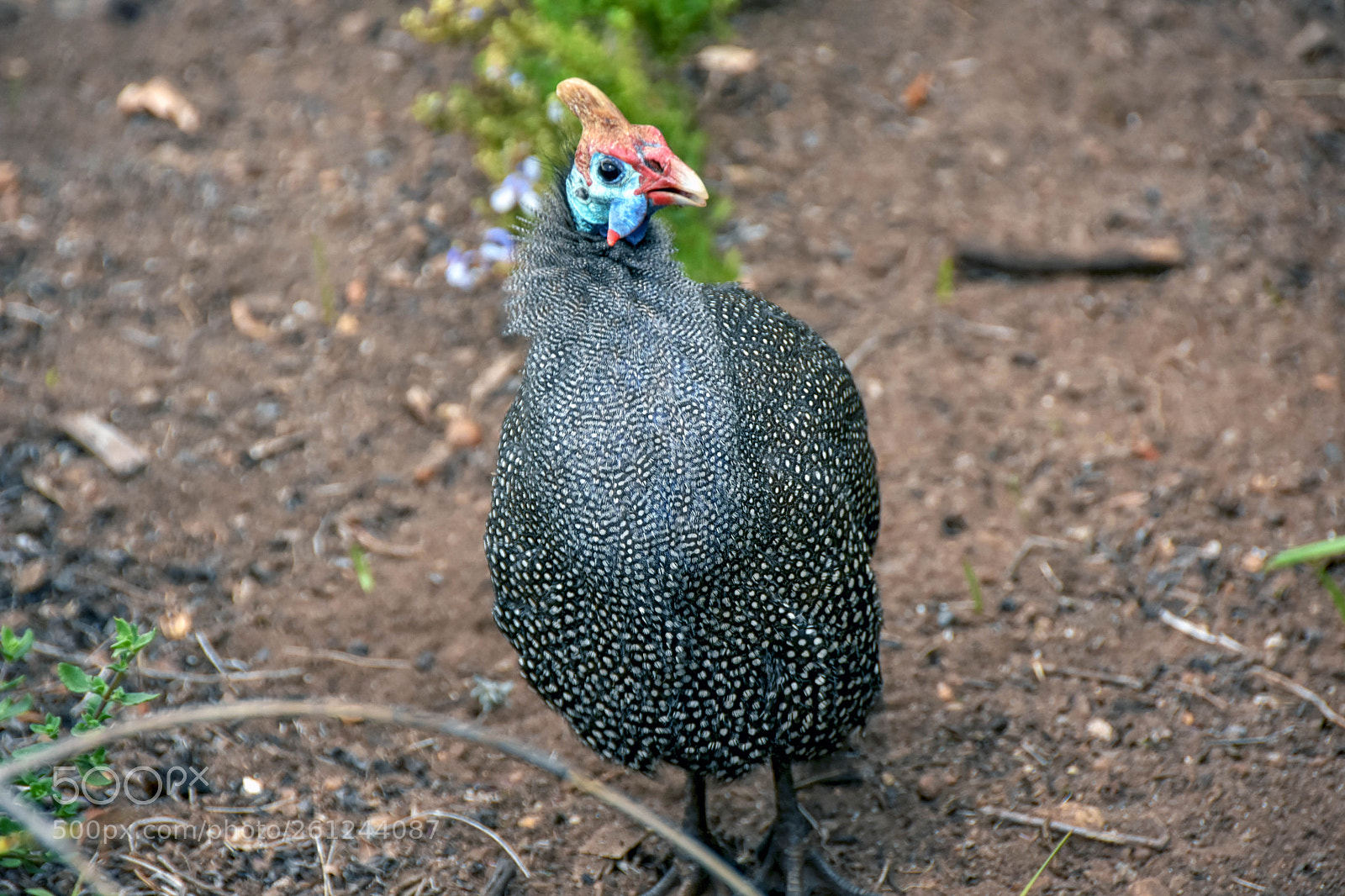 Nikon D7200 sample photo. Untitled photography