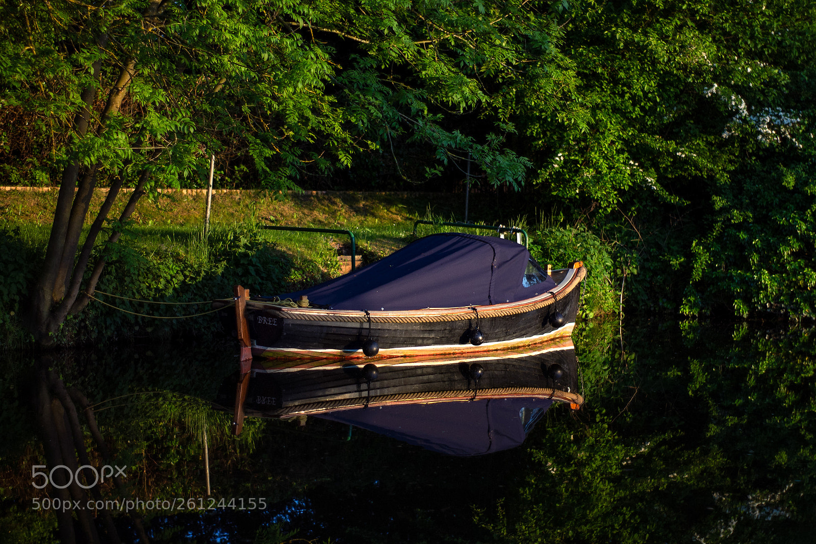 Canon EOS 1100D (EOS Rebel T3 / EOS Kiss X50) sample photo. Woodland sailing photography