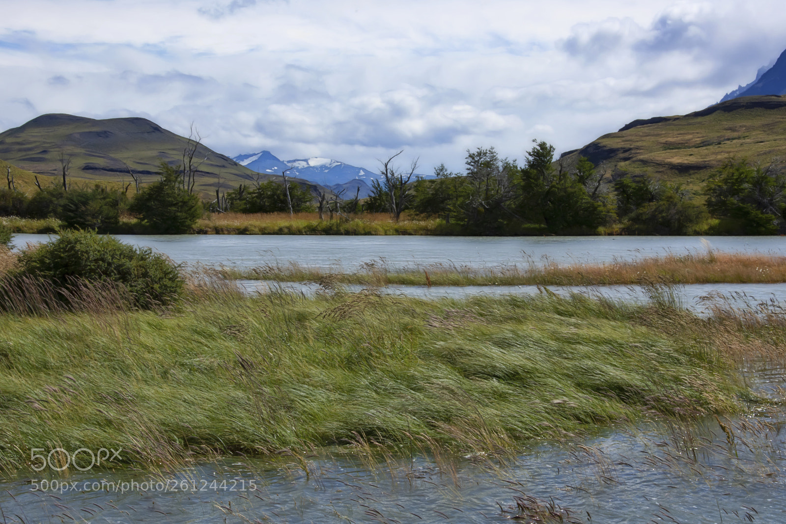 Nikon D7200 sample photo. Strong winds photography
