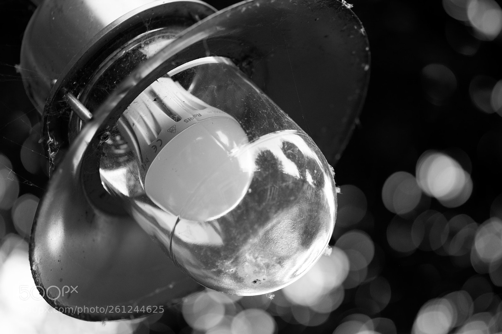 Fujifilm X-T2 sample photo. Light on light photography