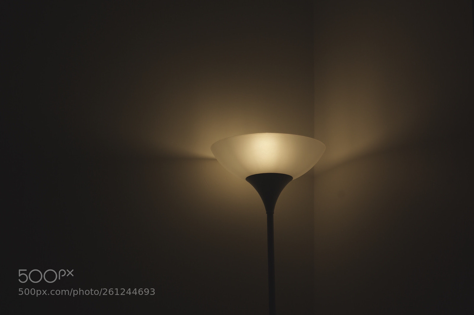 Pentax K10D sample photo. Light photography