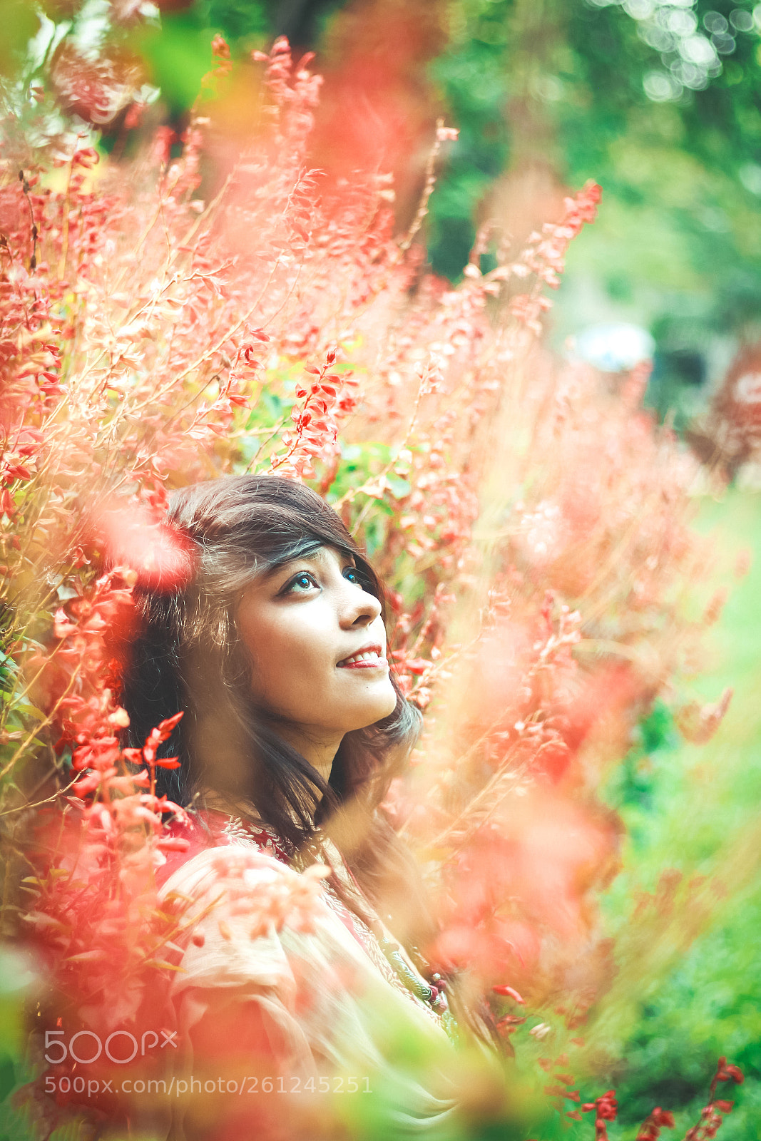 Canon EOS 70D sample photo. Arabesque photography