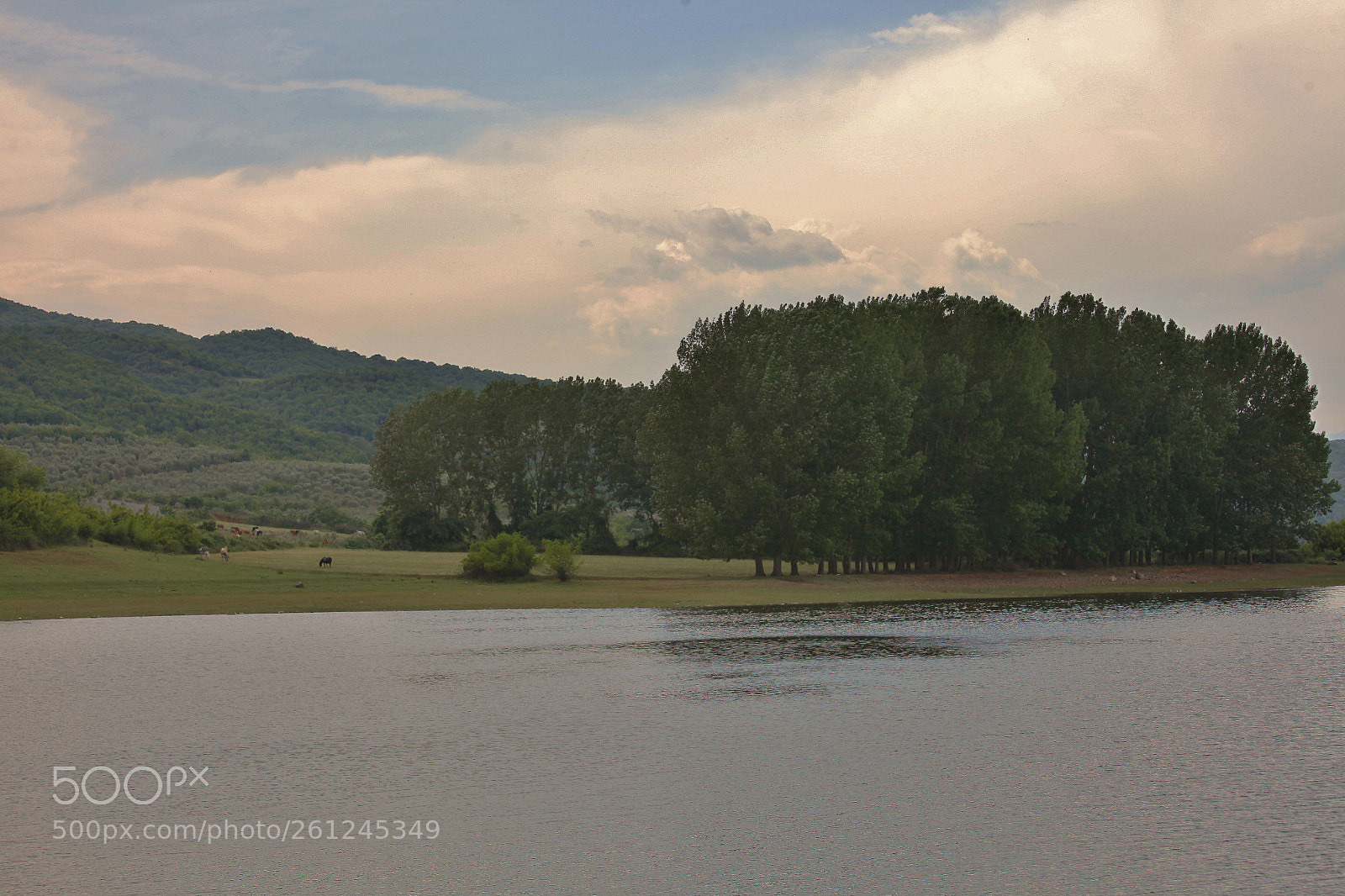 Canon EOS 5D Mark II sample photo. Kerkini lake photography