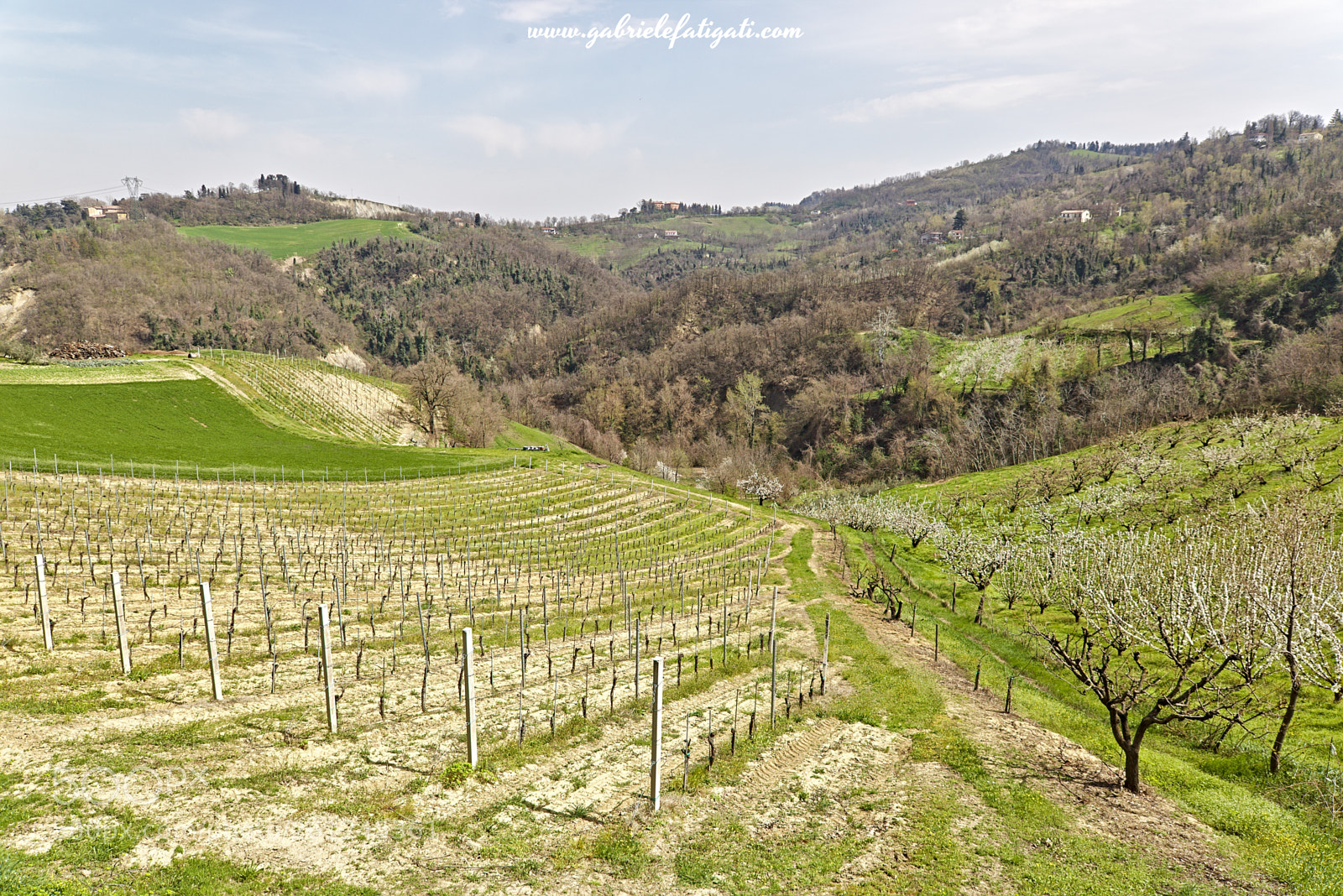 Canon EOS 6D sample photo. Valsamoggia photography