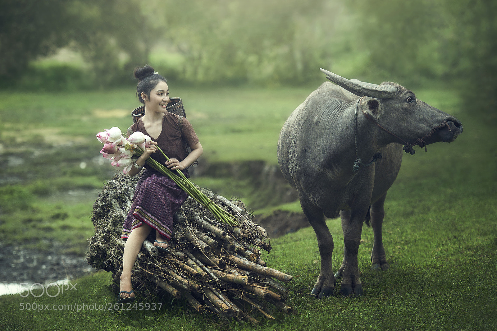 Nikon D4S sample photo. Asian country girl photography