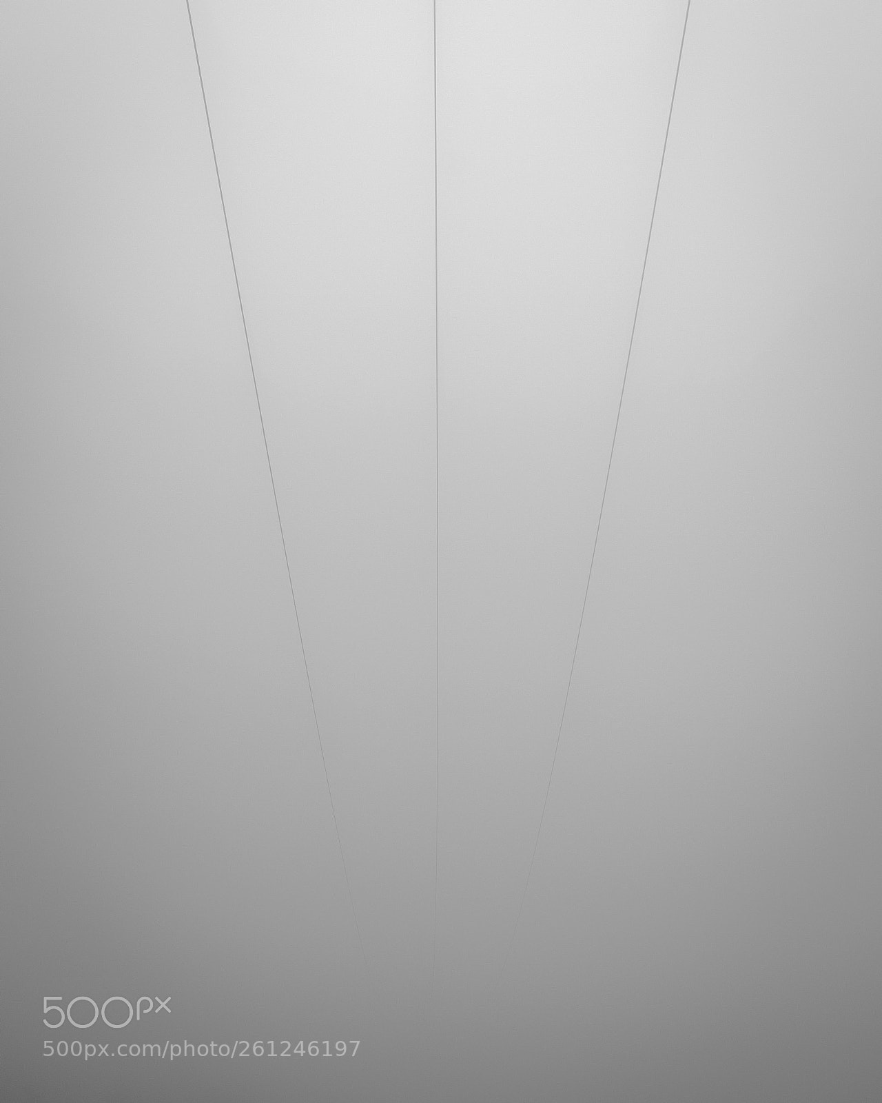 Nikon D5200 sample photo. Fog photography