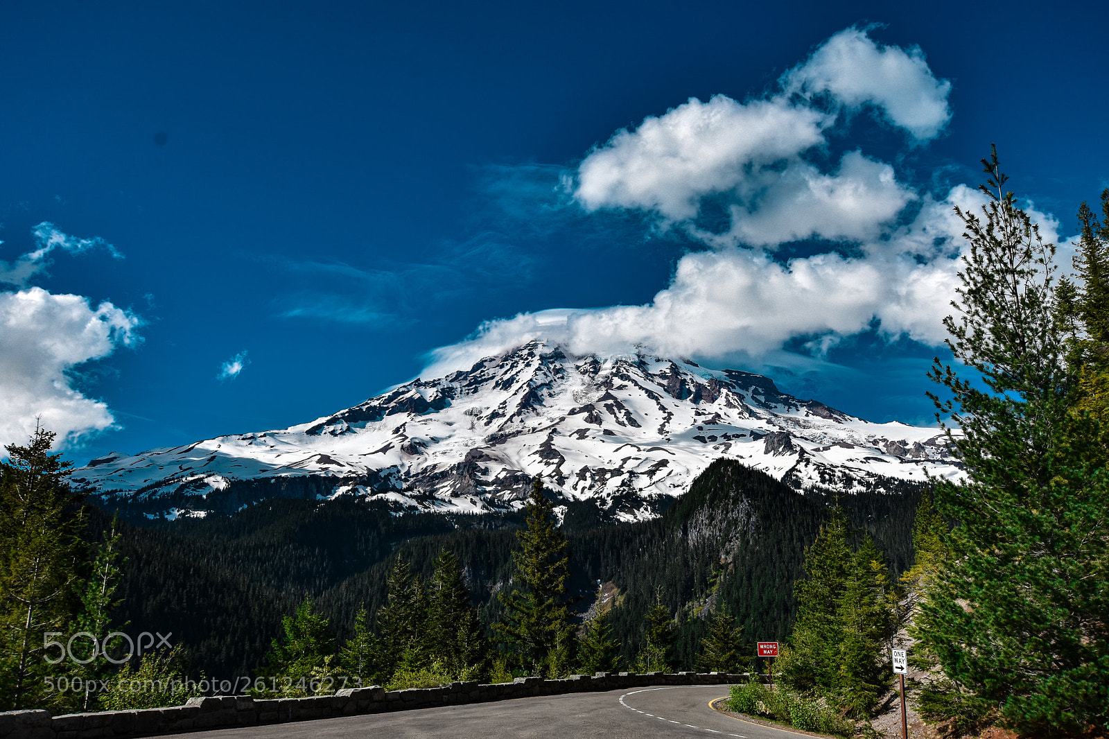 Nikon D7200 sample photo. Tacoma! photography