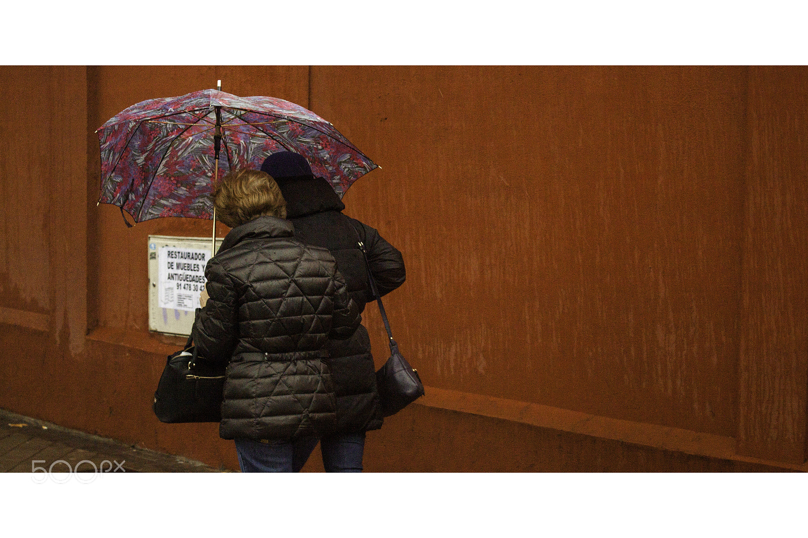 Canon EOS 500D (EOS Rebel T1i / EOS Kiss X3) sample photo. Rain and snow day () photography
