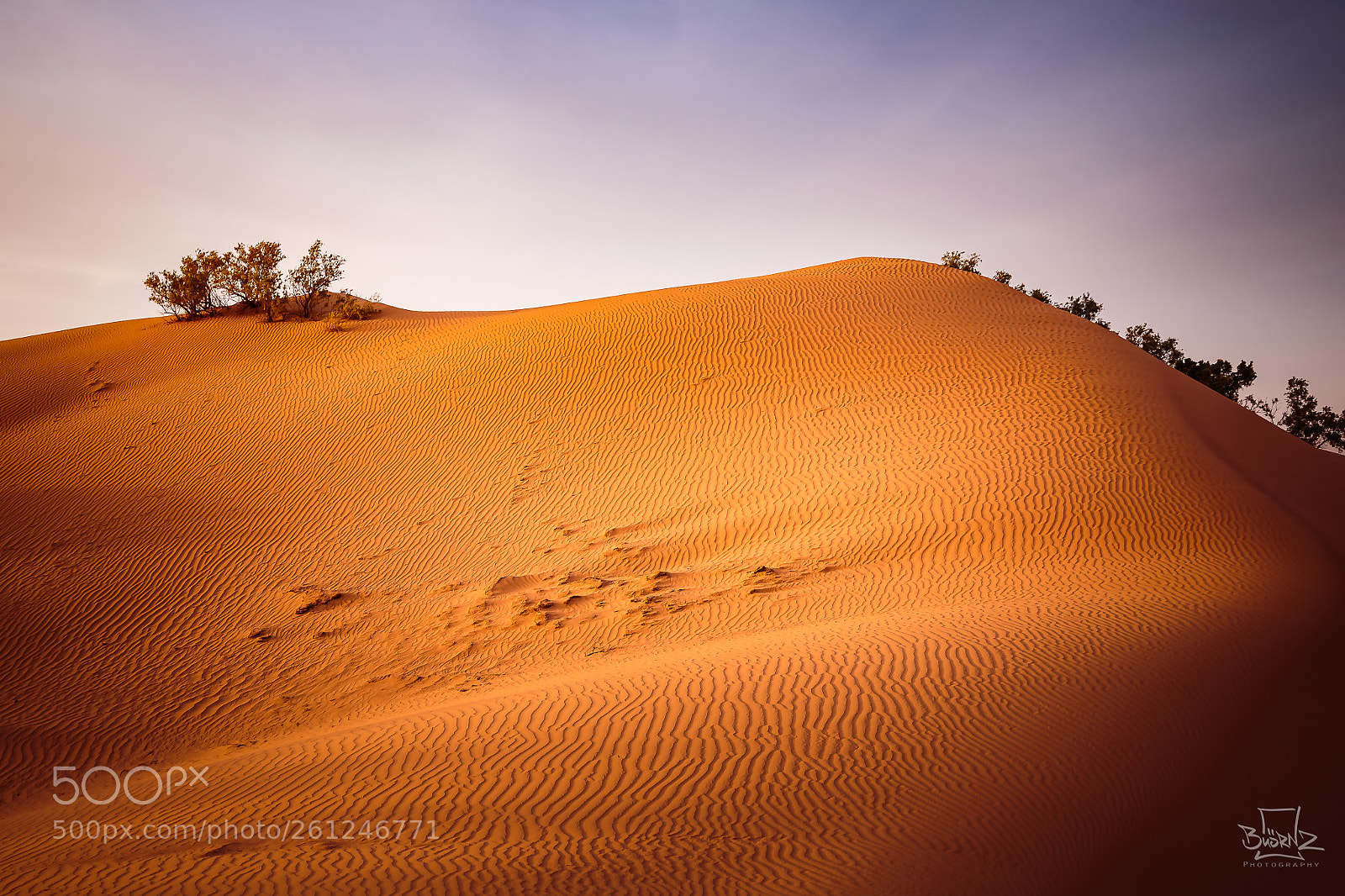 Canon EOS 6D sample photo. Licht und schatten photography