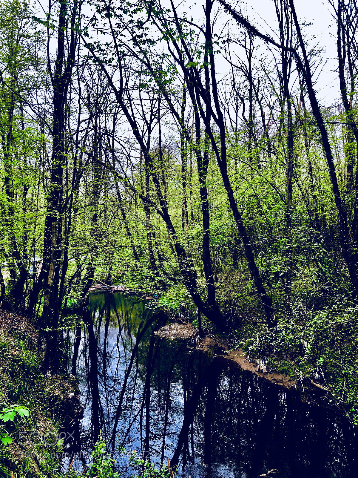 Apple iPhone X sample photo. Reflections  photography