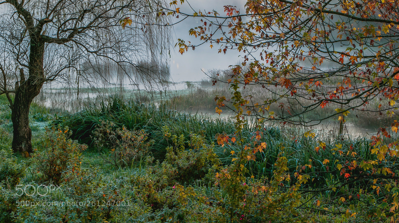 Canon EOS 7D Mark II sample photo. Very early photography