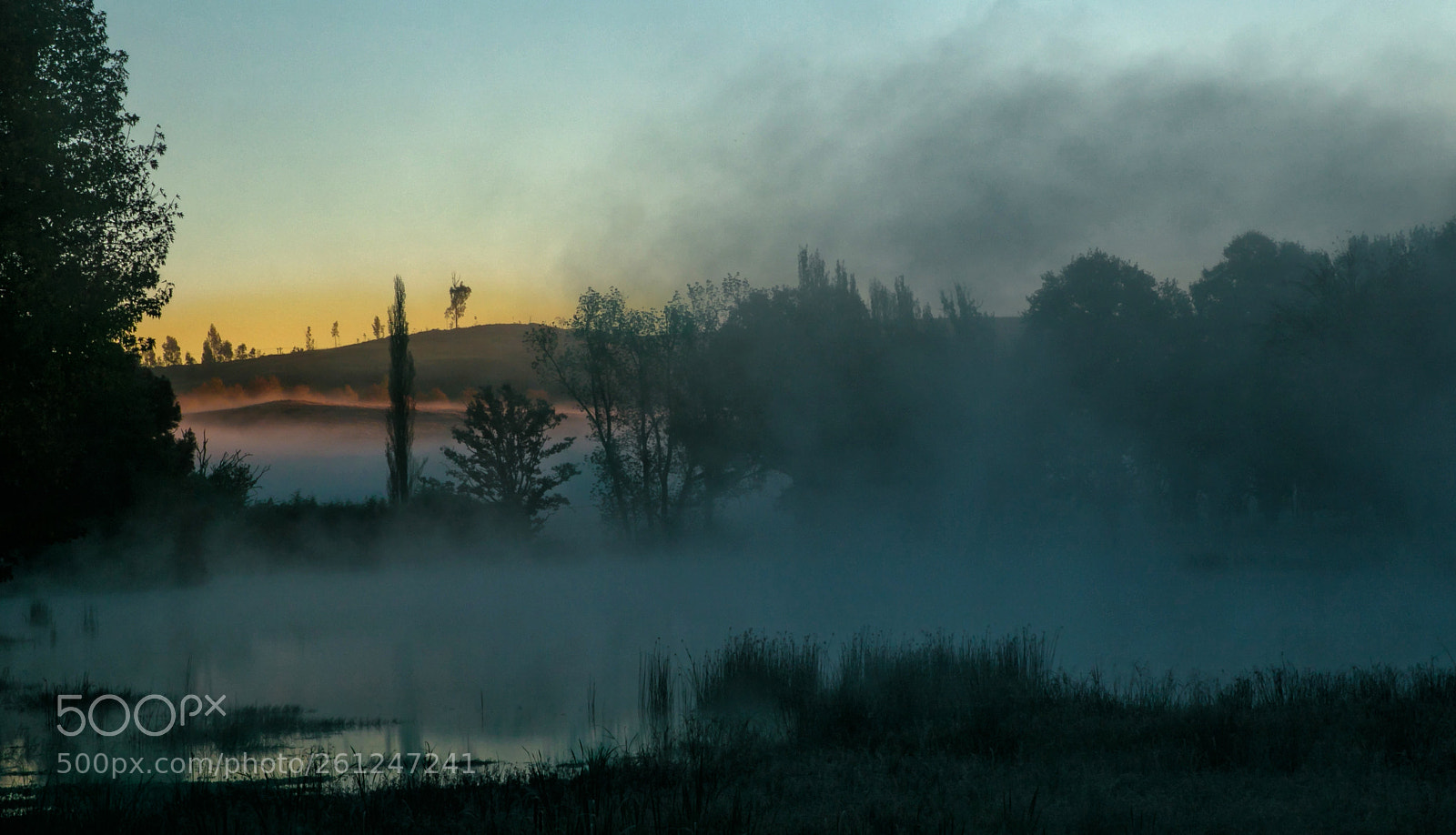 Canon EOS 7D Mark II sample photo. Misty sunrise photography