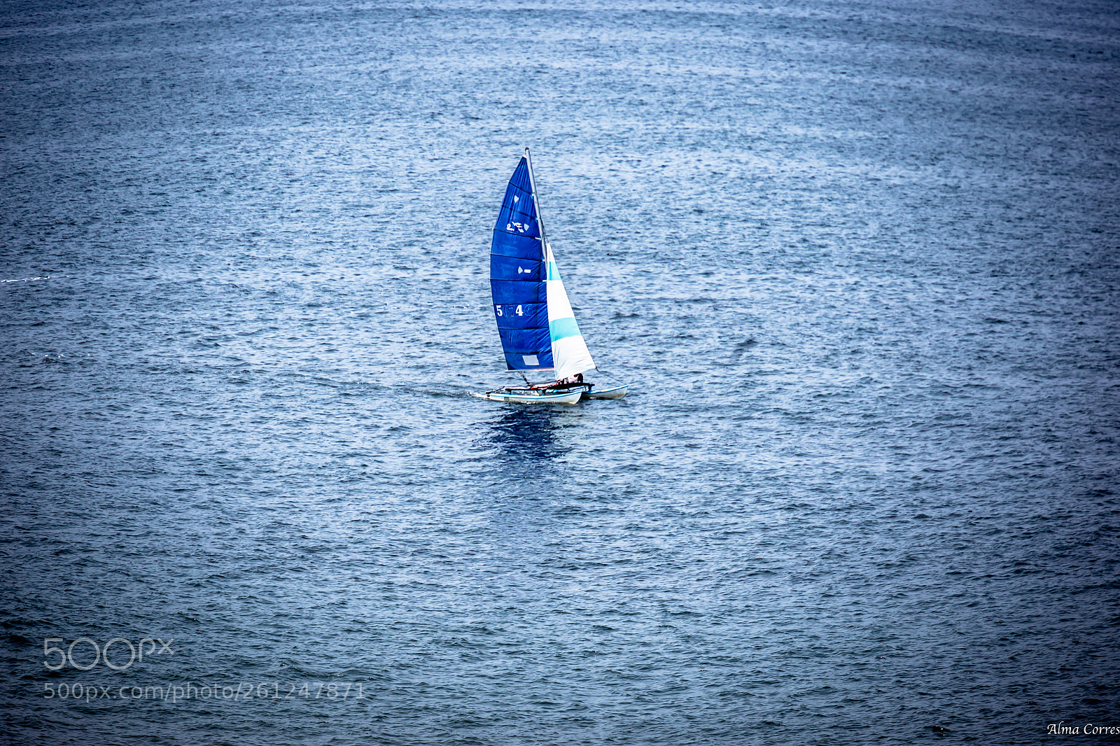Canon EOS 6D sample photo. ____56746____ photography