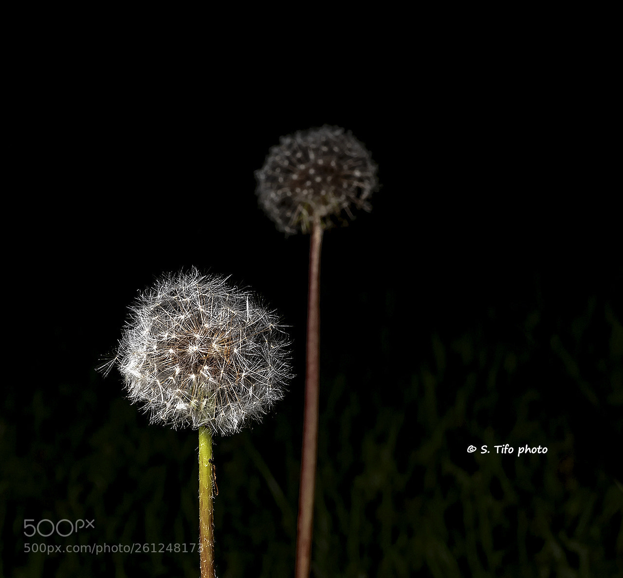 Canon EOS 80D sample photo. Minimalism ... photography