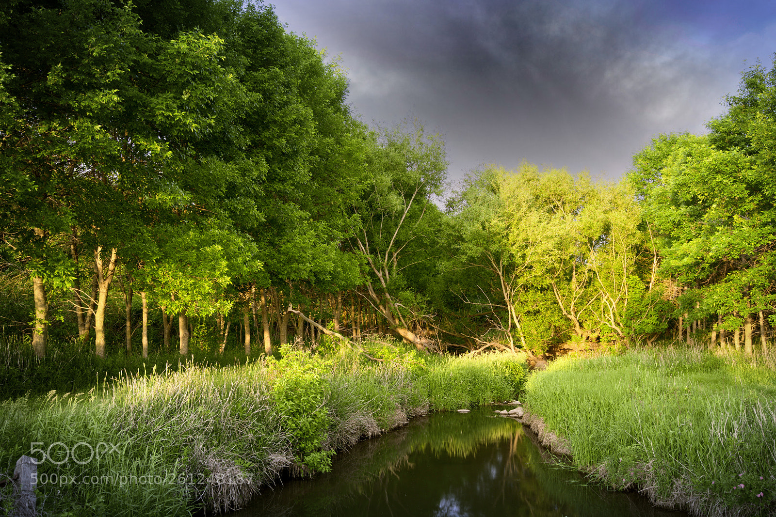 Sony a7R II sample photo. Dramatic cove photography