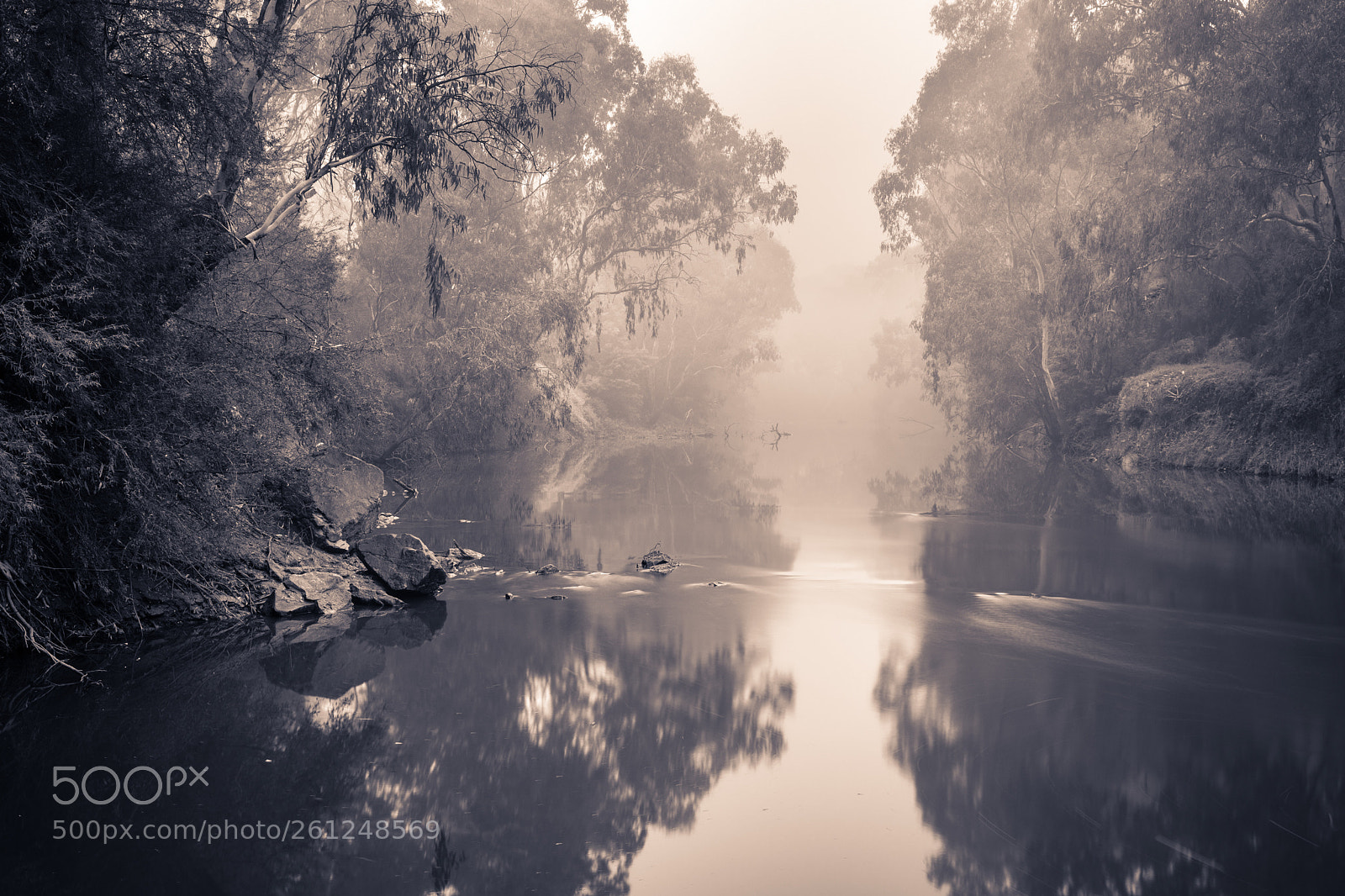 Canon EOS 5D Mark IV sample photo. Fog over yarra river photography