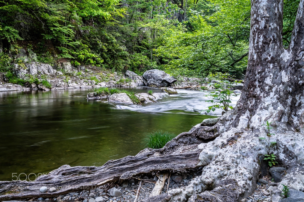 Sony a7R III sample photo. River stream photography