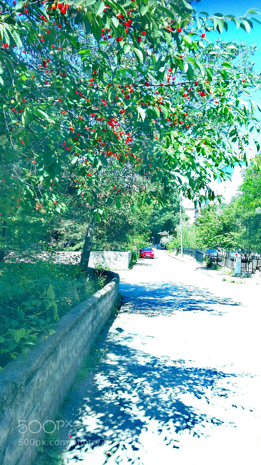 HUAWEI P8 Lite sample photo. Red car vs red photography
