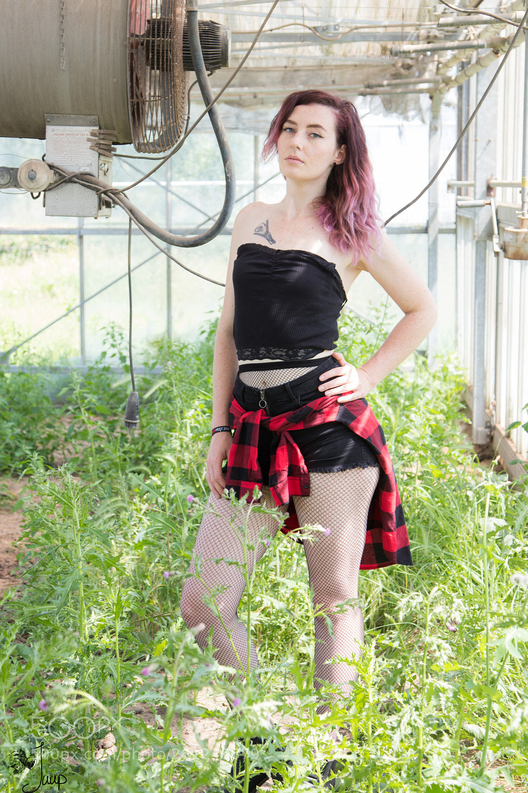 Canon EOS 80D sample photo. In the greenhouse photography