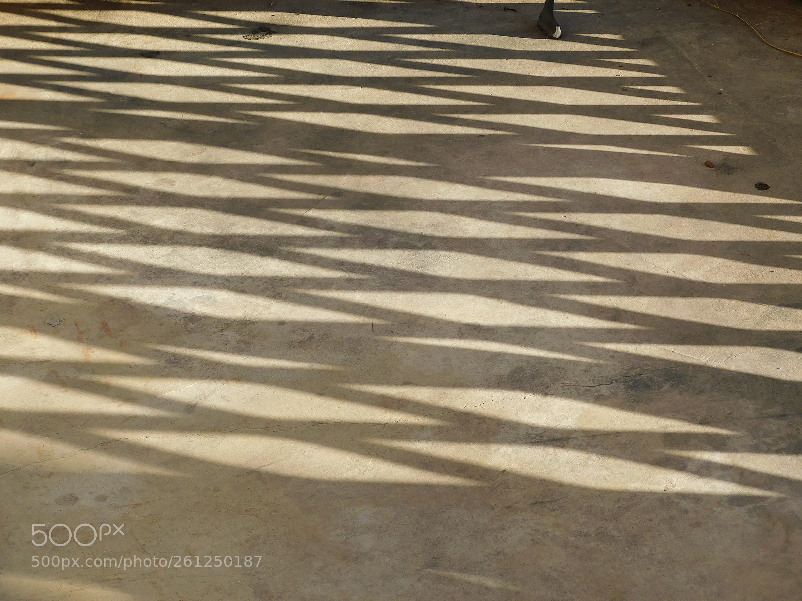 Nikon Coolpix B500 sample photo. In the shadows photography