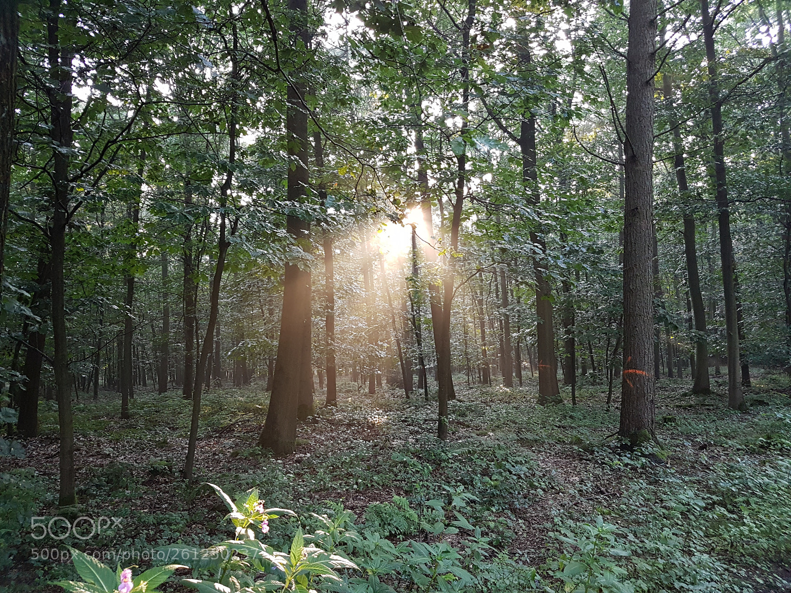 Samsung Galaxy S7 sample photo. Ein abend unterwegs photography
