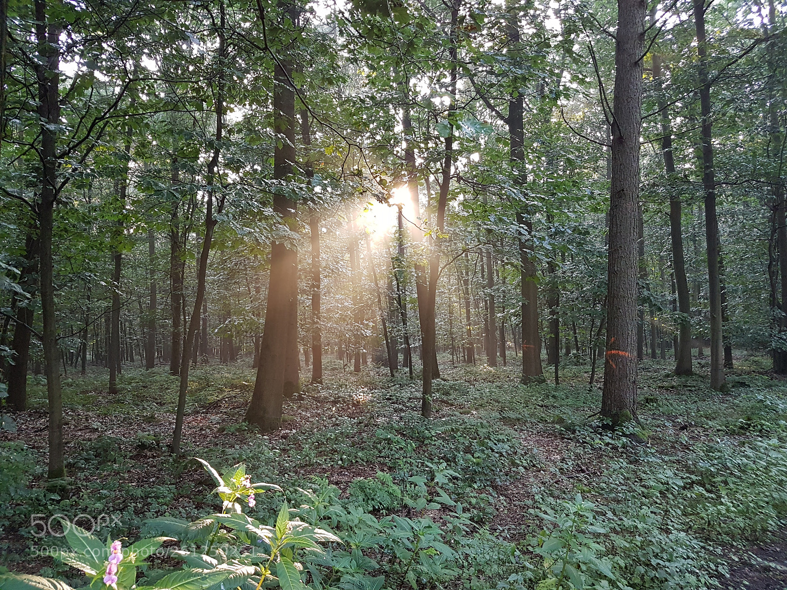 Samsung Galaxy S7 sample photo. Ein abend unterwegs photography