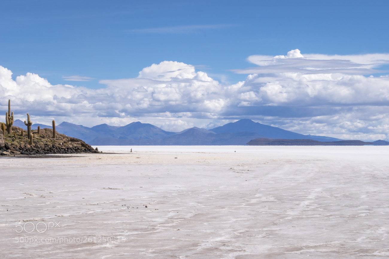 Nikon D5300 sample photo. Isla del pescado uyuni photography