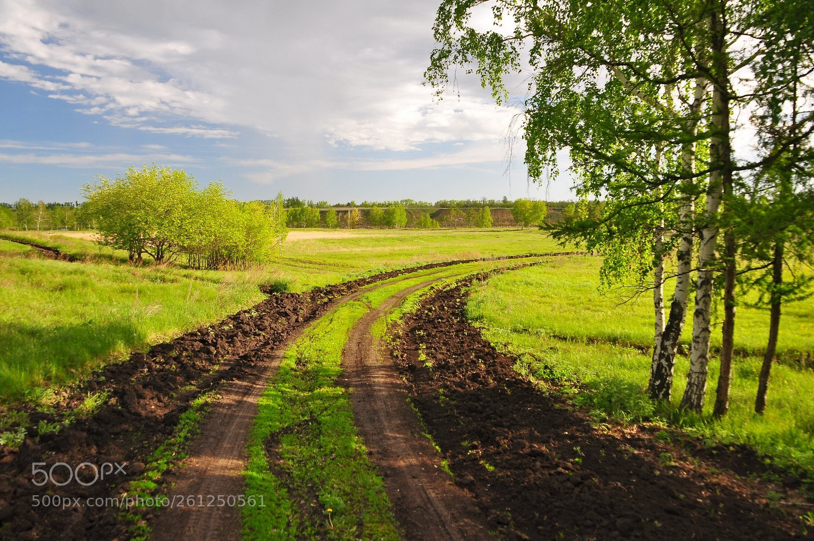 Nikon D90 sample photo. Утренняя дорога photography