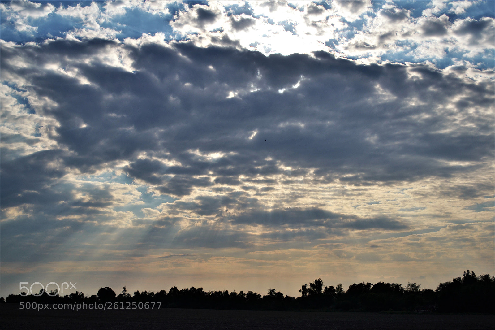 Nikon D3100 sample photo. Almost sunset photography