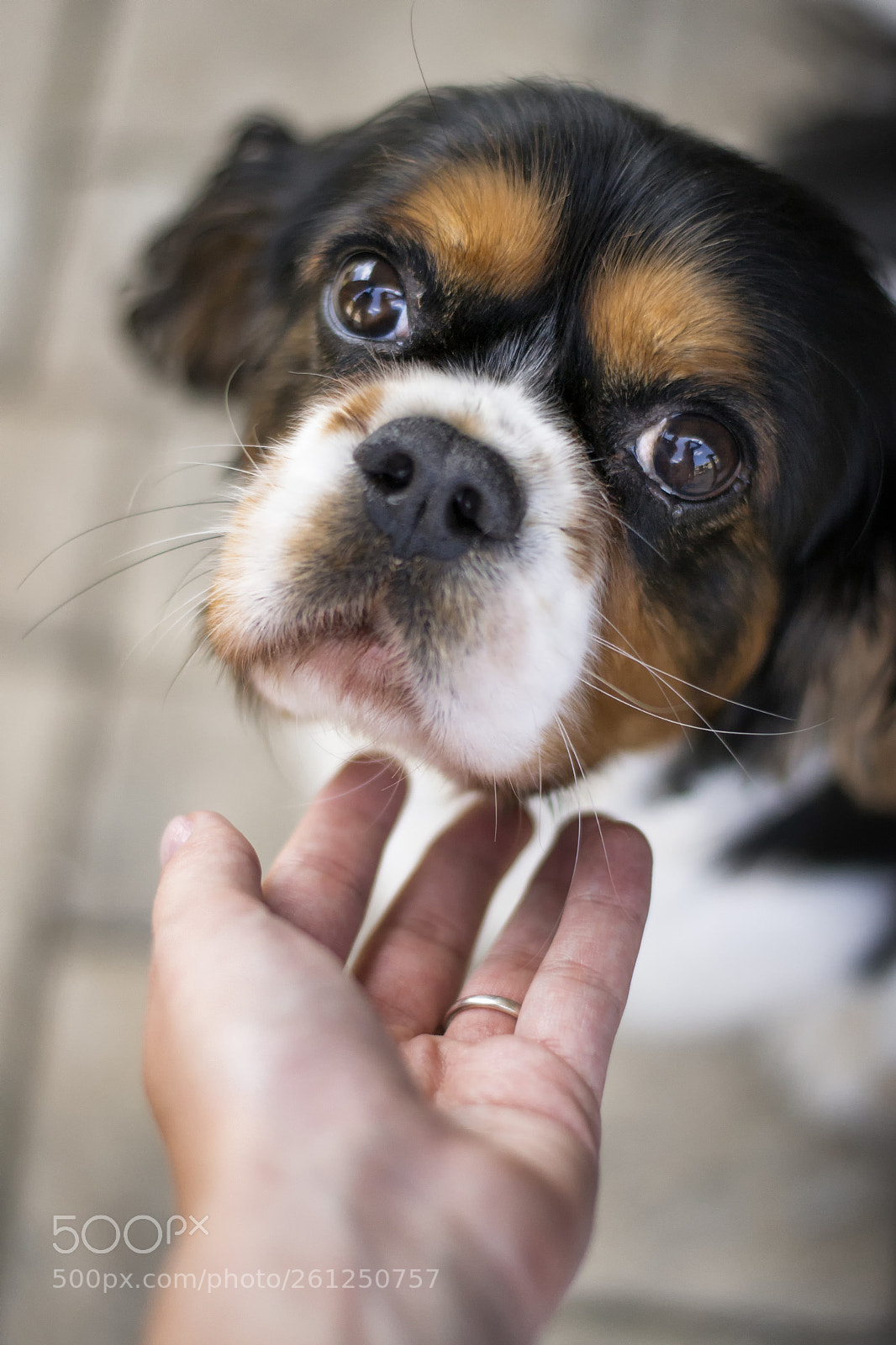 Nikon D3100 sample photo. That look <3 photography
