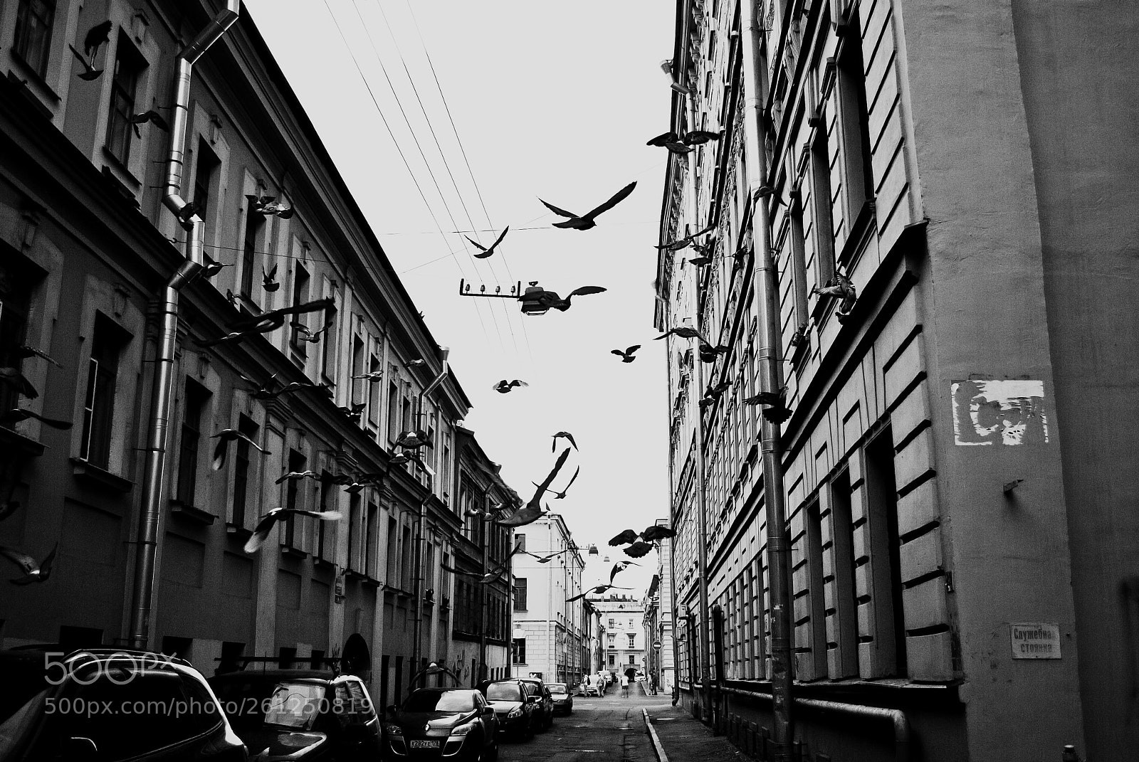 Nikon D3000 sample photo. Город photography