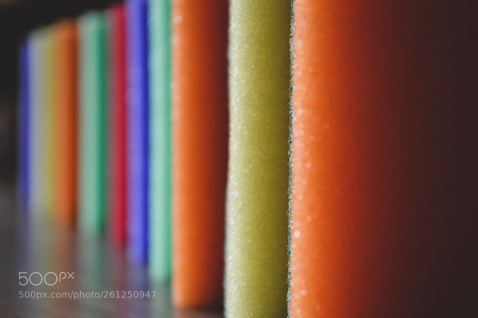 Nikon D3100 sample photo. Many sponges in different photography