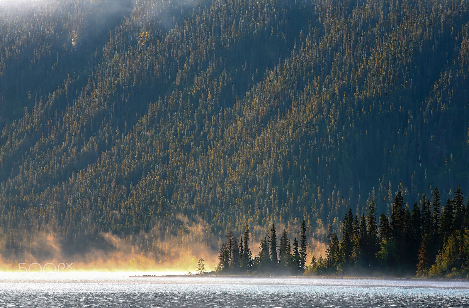 Canon EOS 5D sample photo. Murtle dawn photography