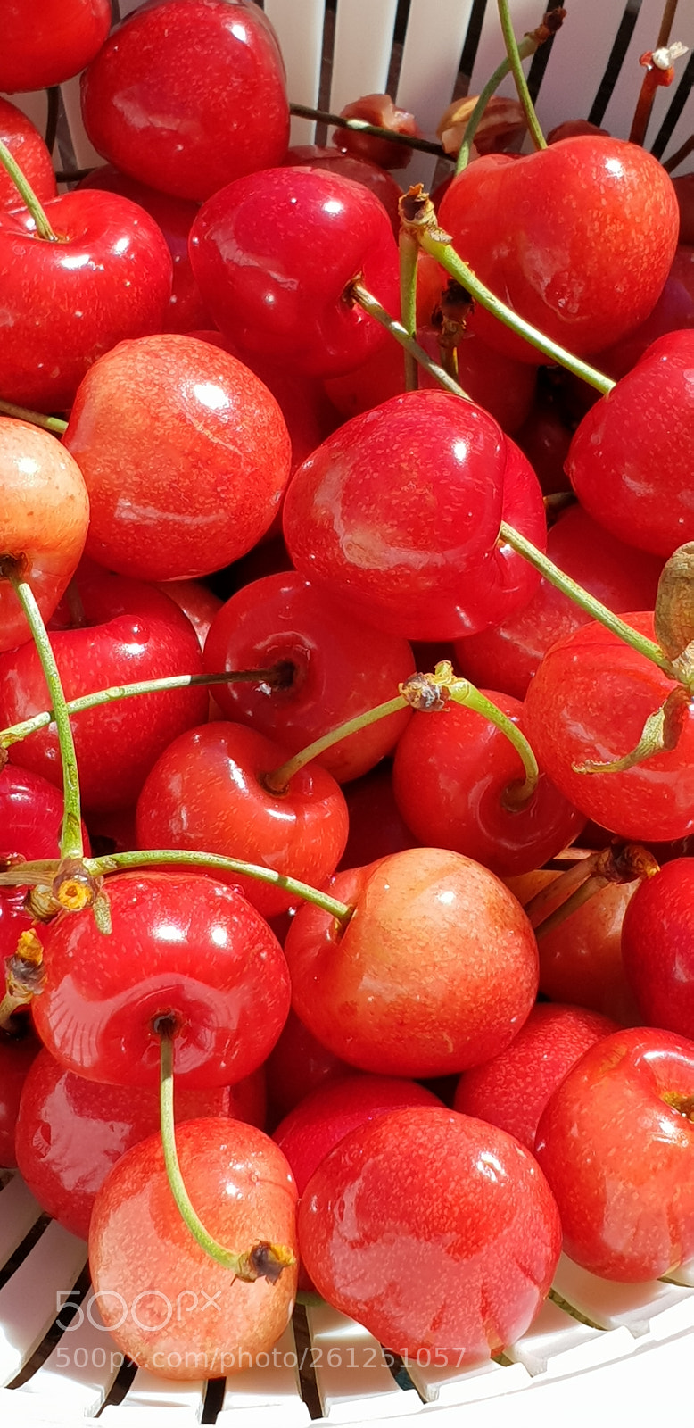Samsung Galaxy S9+ sample photo. Czereśnie photography