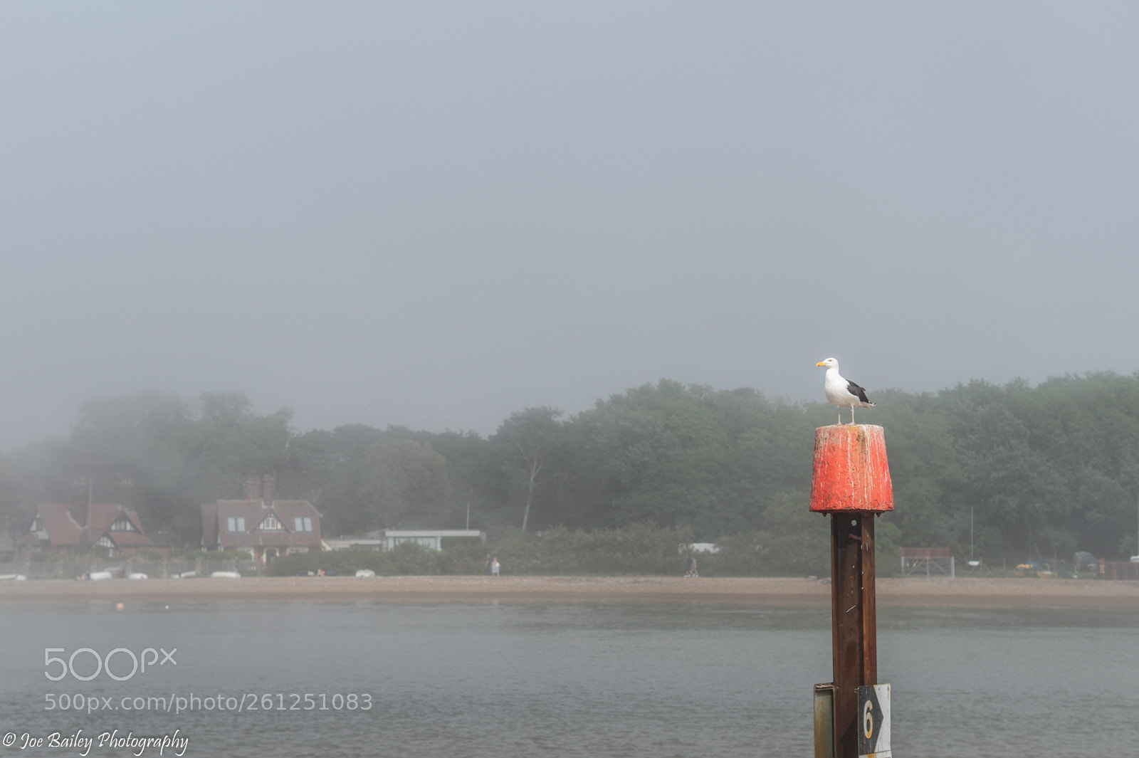 Sony SLT-A58 sample photo. Joe bailey photography felixstowe photography