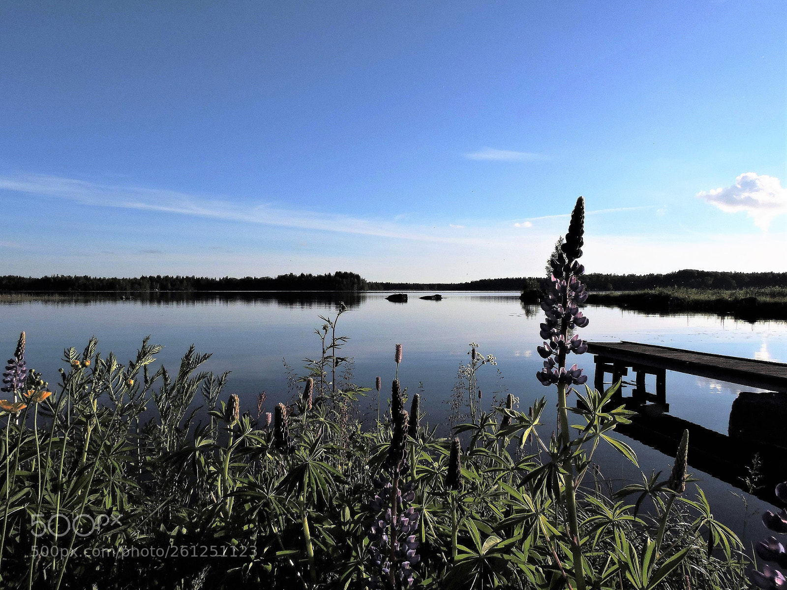 Nikon Coolpix P600 sample photo. Completely calm water level photography