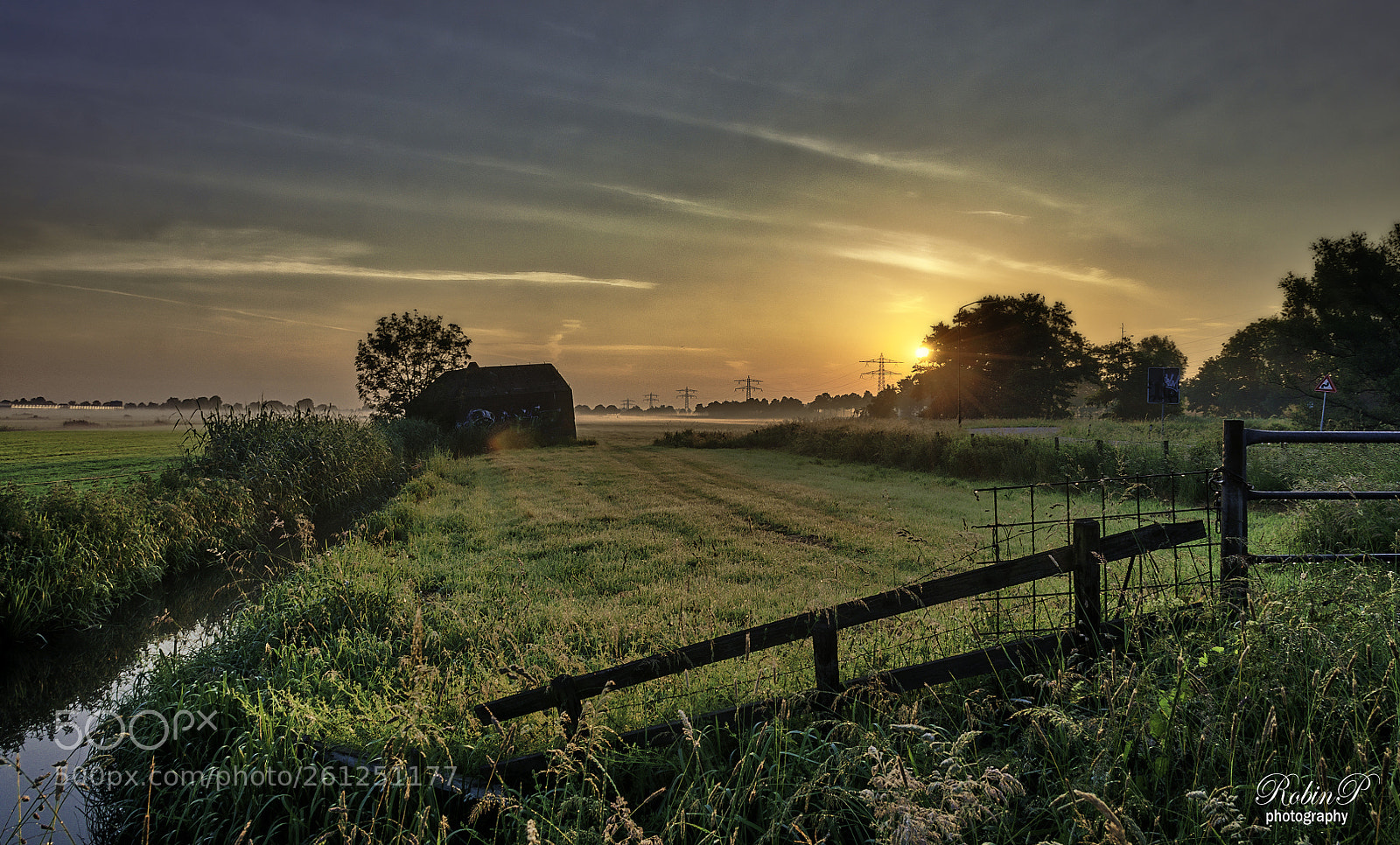 Nikon D5000 sample photo. Morning fog, because i photography