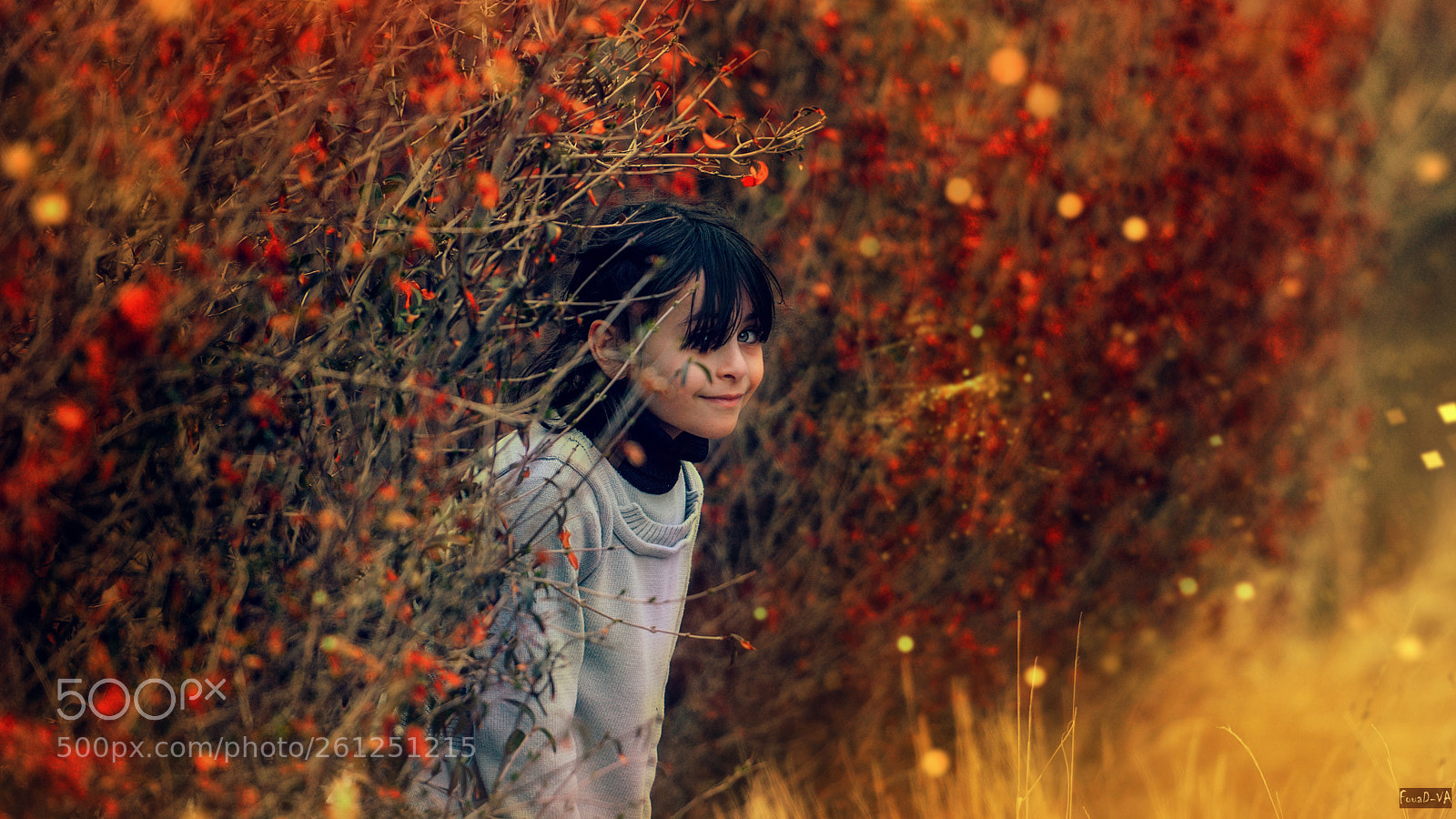 Nikon D3300 sample photo. 64482 elsana photography